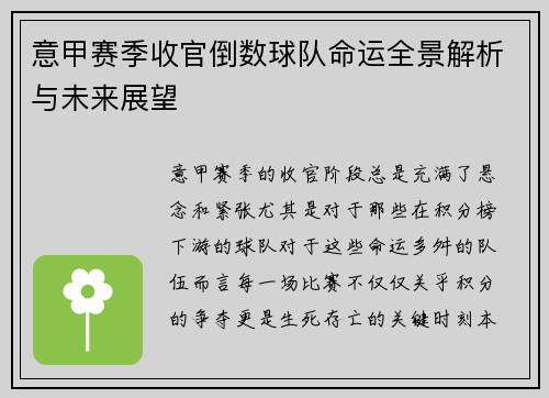 意甲赛季收官倒数球队命运全景解析与未来展望